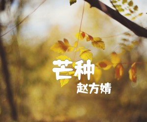 芒种吉他谱,原版歌曲,简单G调弹唱教学,六线谱指弹简谱2张图