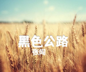 黑色公路吉他谱,原版歌曲,简单G调弹唱教学,六线谱指弹简谱6张图