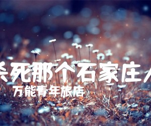 杀死那个石家庄人吉他谱,原版歌曲,简单D调弹唱教学,六线谱指弹简谱3张图