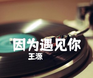 因为遇见你吉他谱,原版歌曲,简单G调弹唱教学,六线谱指弹简谱3张图