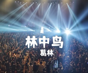 林中鸟吉他谱,原版歌曲,简单C调弹唱教学,六线谱指弹简谱3张图