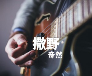 撒野吉他谱,原版歌曲,简单G调弹唱教学,六线谱指弹简谱2张图