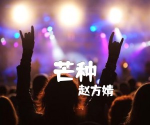 芒种吉他谱,原版歌曲,简单G调弹唱教学,六线谱指弹简谱2张图