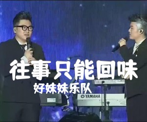 往事只能回味吉他谱,原版歌曲,简单G调弹唱教学,六线谱指弹简谱3张图