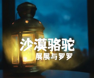 沙漠骆驼吉他谱,原版歌曲,简单C调弹唱教学,六线谱指弹简谱2张图