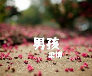 男孩吉他谱,原版歌曲,简单未知调弹唱教学,六线谱指弹简谱1张图