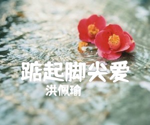 踮起脚尖爱吉他谱,原版歌曲,简单G调弹唱教学,六线谱指弹简谱1张图