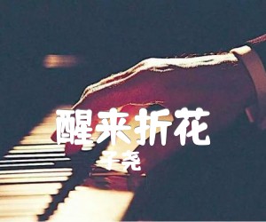 醒来折花吉他谱,原版歌曲,简单未知调弹唱教学,六线谱指弹简谱2张图