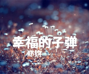 幸福的子弹吉他谱,原版歌曲,简单E调弹唱教学,六线谱指弹简谱2张图