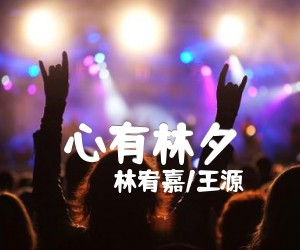 心有林夕吉他谱,原版歌曲,简单D调弹唱教学,六线谱指弹简谱1张图