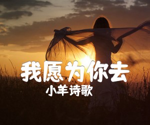 我愿为你去吉他谱,原版歌曲,简单C调弹唱教学,六线谱指弹简谱1张图