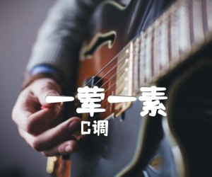 一荤一素吉他谱,原版歌曲,简单C调弹唱教学,六线谱指弹简谱3张图