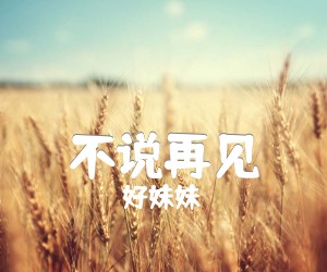 不说再见吉他谱,原版歌曲,简单B调弹唱教学,六线谱指弹简谱4张图