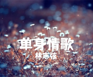 单身情歌吉他谱,原版歌曲,简单个人弹弹唱教学,六线谱指弹简谱3张图