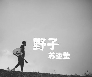 野子吉他谱,原版歌曲,简单C调弹唱教学,六线谱指弹简谱2张图