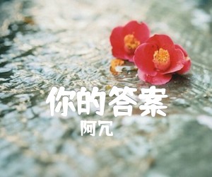 你的答案吉他谱,原版歌曲,简单D调弹唱教学,六线谱指弹简谱2张图