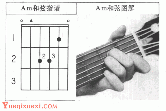 吉他左手技巧_吉他和-吉他指导手册