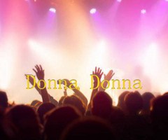 Donna Donna吉他谱_欧美经典_原版指弹吉他简谱