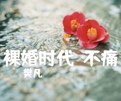 裸婚时代（不痛）吉他谱_樊凡_原版弹唱吉他简谱