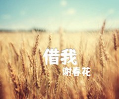 借我吉他谱_谢春花_G调_原版弹唱吉他简谱