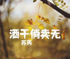 酒干倘卖无吉他谱_苏芮_C调_原版弹唱吉他简谱