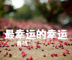 最幸运的幸运吉他谱_肖战_C调_原版指弹吉他简谱