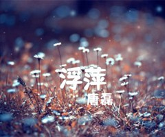 浮萍吉他谱_唐磊_原版弹唱吉他简谱