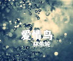 爱情鸟吉他谱_林依轮_G调_原版弹唱吉他简谱