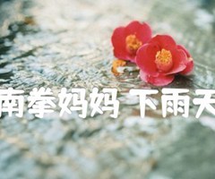 南拳妈妈 下雨天吉他谱_南拳妈妈_原版指弹吉他简谱