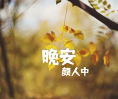 晚安吉他谱_颜人中_C调_原版指弹吉他简谱