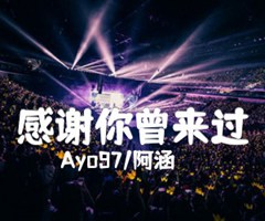 感谢你曾来过吉他谱_Ayo97/阿涵_G调_原版弹唱吉他简谱