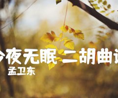 《今夜无眠 二胡曲谱吉他谱》_孟卫东_吉他图片谱1张