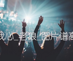 来自我心吉他谱_群星_老狼_简谱歌词