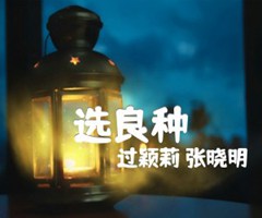 《选良种吉他谱》_过颖莉 张晓明_吉他图片谱1张