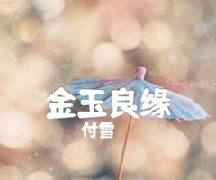 金玉良缘吉他谱_付雪_G调_原版弹唱吉他简谱