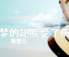 《梦的翅膀受了伤吉他谱》_蒋雪儿_C调_吉他图片谱3张