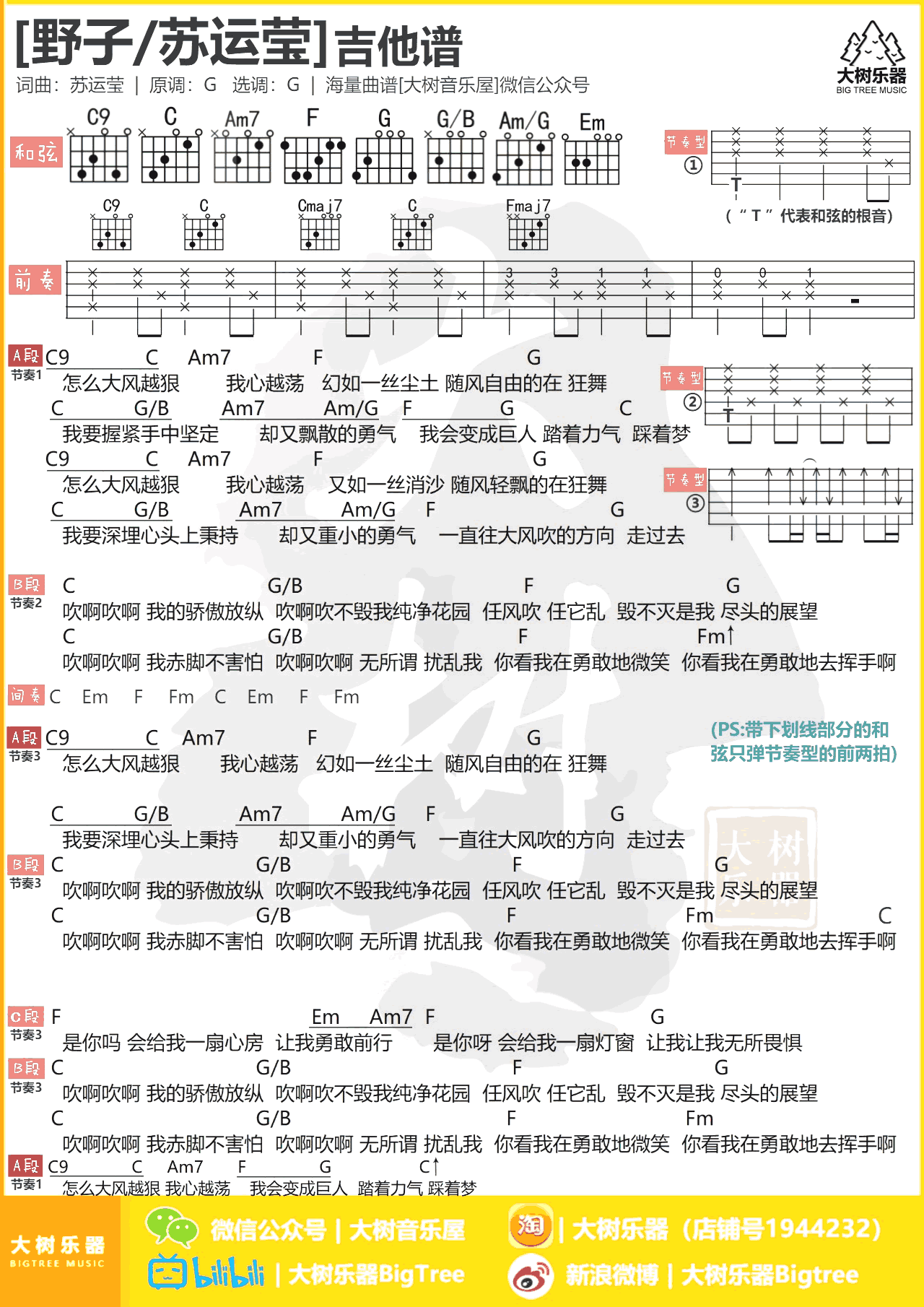 苏运莹 野子吉他谱