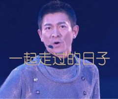 一起走过的日子吉他谱_刘德华_文字谱简谱歌词