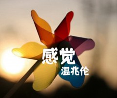 感觉吉他谱_温兆伦_原版弹唱吉他简谱