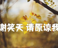 《谢笑天 请原谅我吉他谱》_谢笑天_C调_吉他图片谱3张