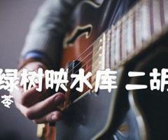 蓝天绿树映水库 二胡曲谱吉他谱_金月苓_原版弹唱吉他简谱