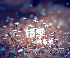 《错季吉他谱》_秋原依_C调_吉他图片谱4张