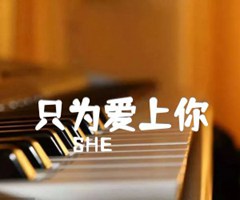 只为爱上你吉他谱_SHE_D调_原版指弹吉他简谱