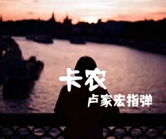 《卡农吉他谱》_卢家宏指弹_吉他图片谱7张