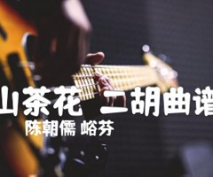 山茶花  二胡曲谱吉他谱_陈朝儒 峪芬_原版指弹吉他简谱