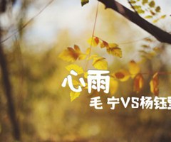 心雨吉他谱_毛 宁VS杨钰莹_C调_原版指弹吉他简谱