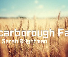 Scarborough Fair吉他谱_Sarah Brightman_G调_原版弹唱吉他简谱