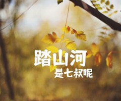 踏山河吉他谱_是七叔呢_G调_原版弹唱吉他简谱