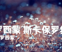 保罗西蒙 斯卡保罗集市吉他谱_保罗西蒙_原版指弹吉他简谱