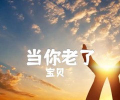 当你老了吉他谱_宝贝_D调_原版弹唱吉他简谱